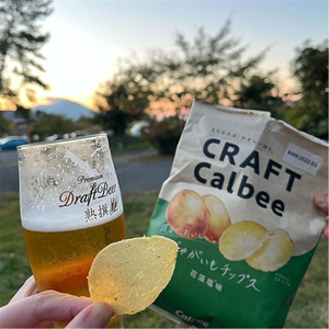 Biodegradable Potato Chip Bags